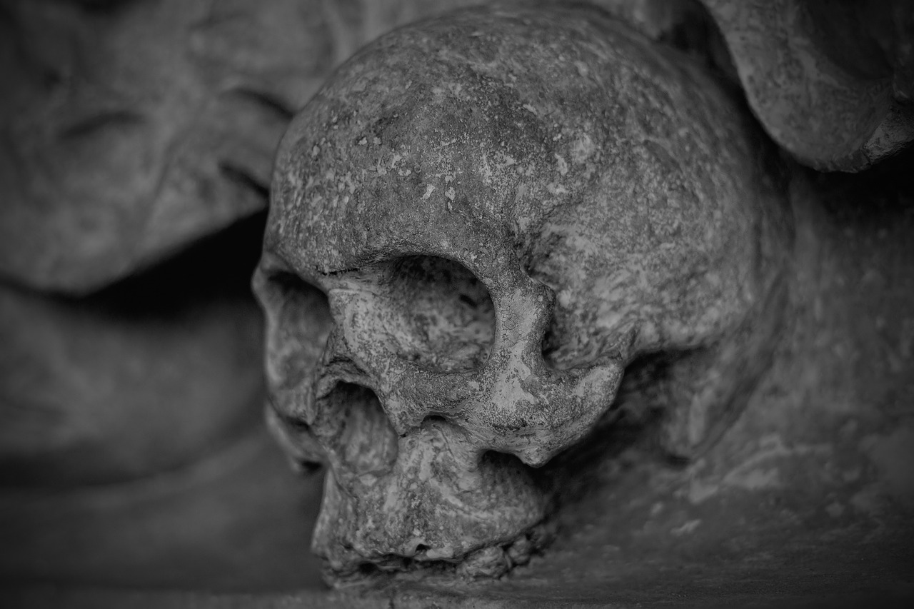 Ancient skeletons unearthed in France reveal Mafia-style killings